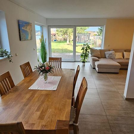 Sehr Schoenes Und Grosses Haus In Dresden - Partys Und Andere Feierlichkeiten Sind Wegen Eventueller Laermbelaestigung Nicht Gestattet Екстер'єр фото